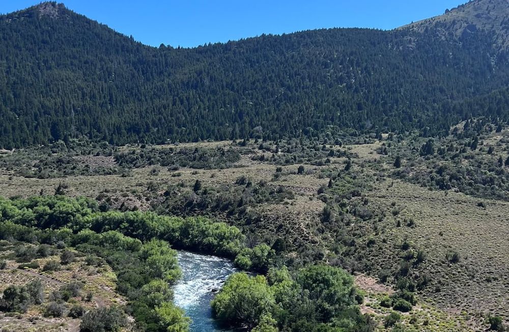 Se debe extremar el cuidado de los bosques. Foto: La Voz