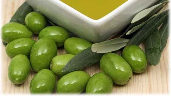 El aceite de oliva  y su influencia en la salud