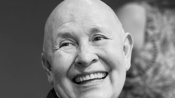 Zen para distraídos, un libro necesario para hacer pequeñas mejoras en nuestra vida