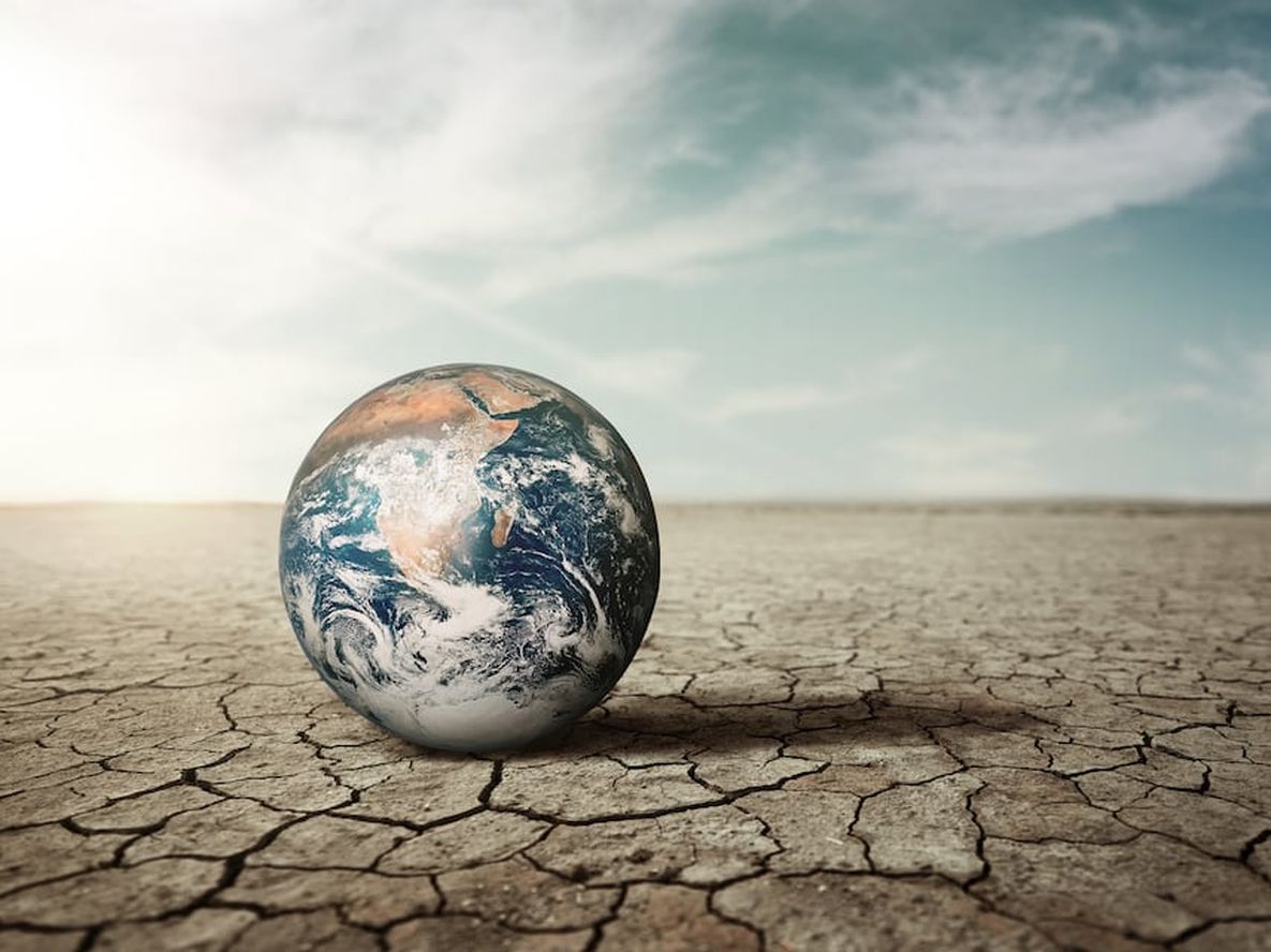 Más Allá del Carbono: El enfoque Naturaleza Positiva como Solución al Cambio Climático