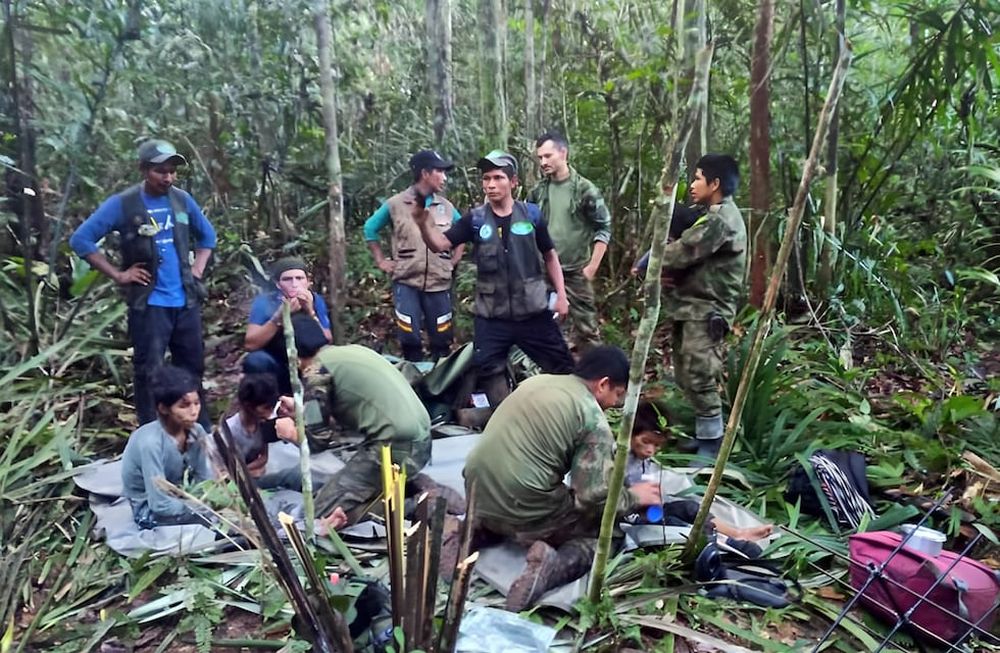 Hallan con vida a los cuatro niños perdidos hace 40 días tras accidente aéreo en Colombia. Foto: EFE/ Fuerzas Militares de Colombia