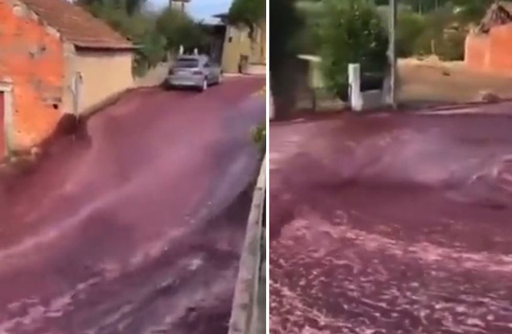 Un río de vino sorprendió a los vecinos de Anadia, Portugal. - Captura de video
