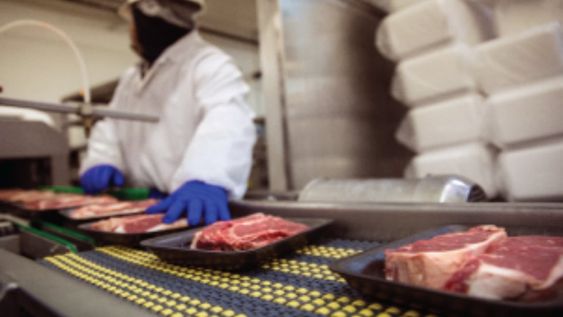 Se contrajeron las exportaciones de carne. Foto: HQTS