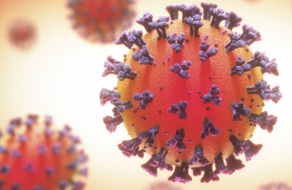 Así se ve a través de microscopios electrónicos el coronavirus.
