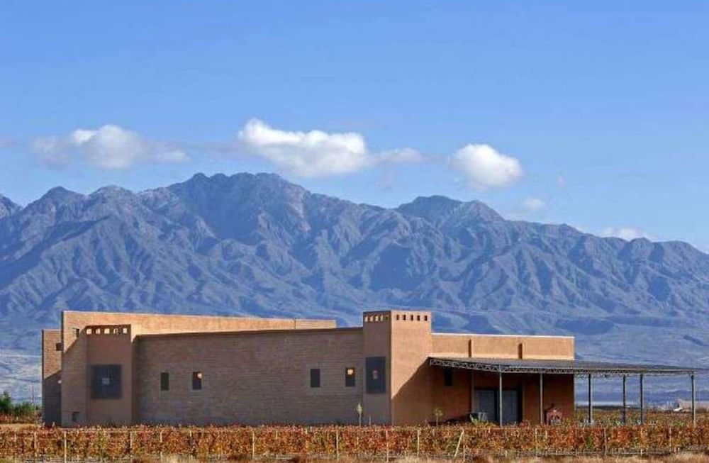 Recelo en la industria vitivinícola por la intervención de Vicentin