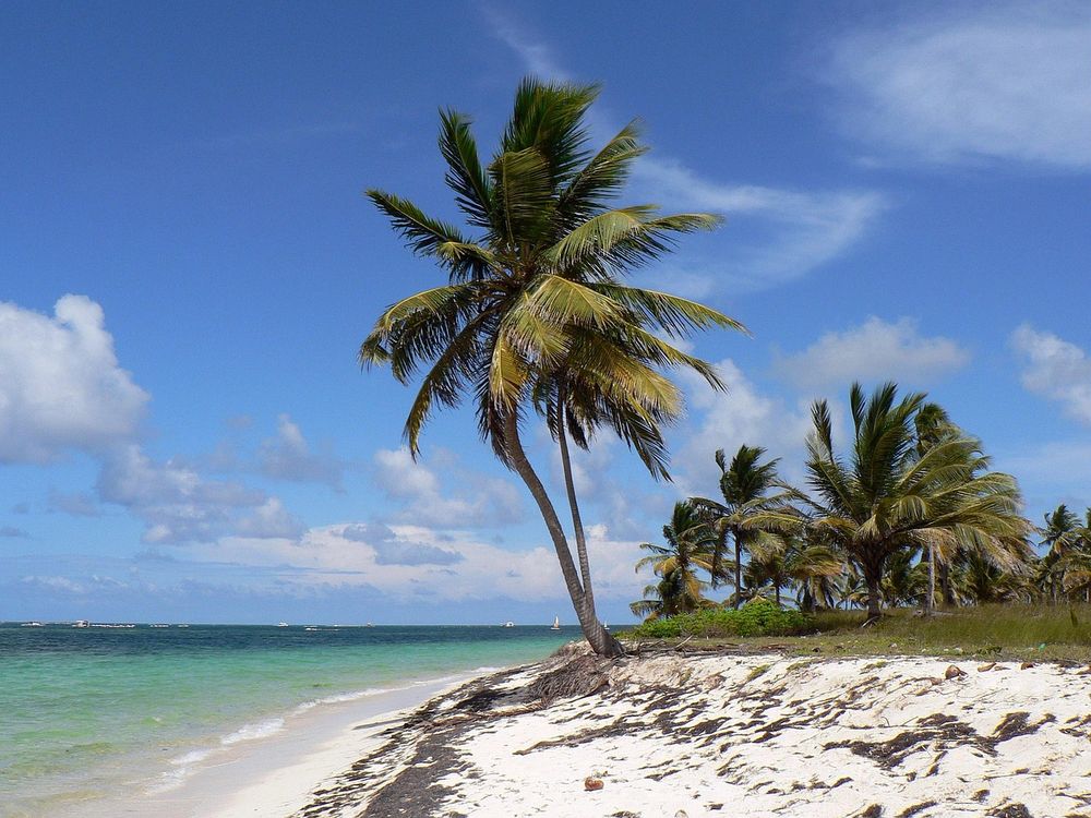 Paradijselijke stranden van het Caribisch gebied met een directe vlucht vanuit Mendoza