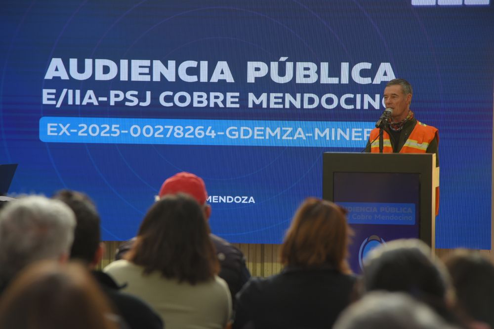 Audiencia por PSJ Cobre Mendocino (segundo día).