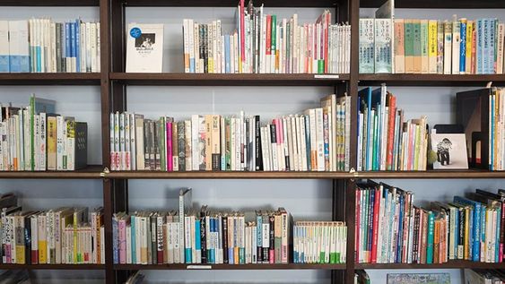 El estudio de varias académicas mendocinas ha contribuido a darle fisonomía al panorama literario de Mendoza. Foto: Pixabay / Grupo Edisur