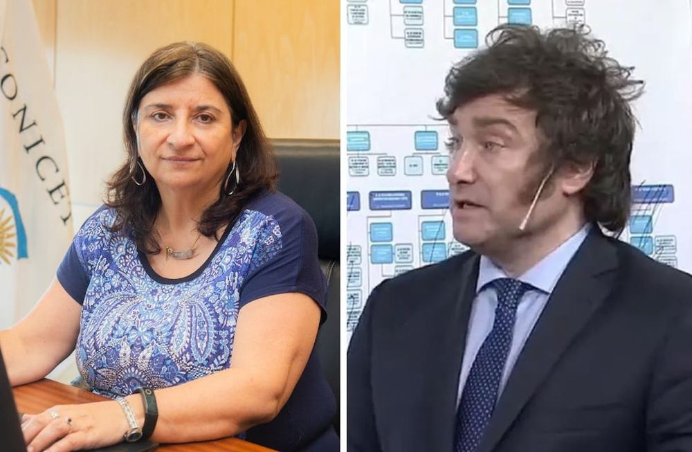 La presidenta del Conicet defendió la importancia de la ciencia y tecnología en respuesta a propuesta de privatización de Javier Milei