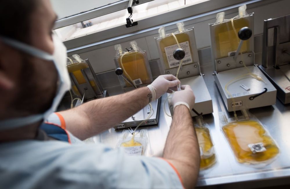 Laboratorio. Técnicas del Centro de Hemoterapia provincial procesan y  clasifican las bolsas de plasma donado por pacientes recuperados de coronavirus. Foto: Ignacio Blanco / Los Andes