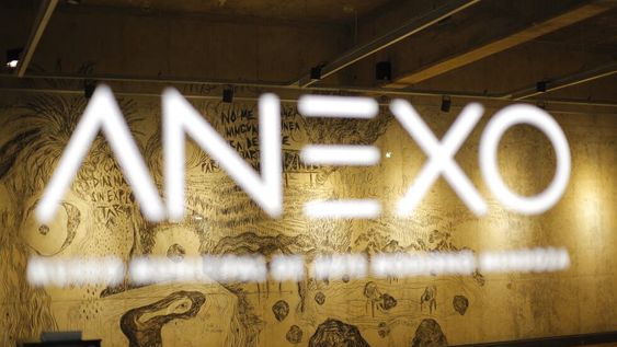 Inaugura “La vida secreta de las imágenes” de Mariel Matoz, en el Anexo MMAMM