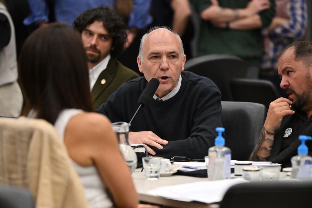 El exsecretario de de Malvinas, Ant&aacute;rtida y Atl&aacute;ntico Sur de la Naci&oacute;n, Guillermo Carmona.