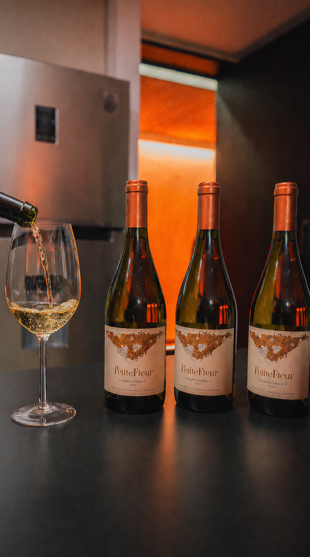 vinos monteviejo_ copia