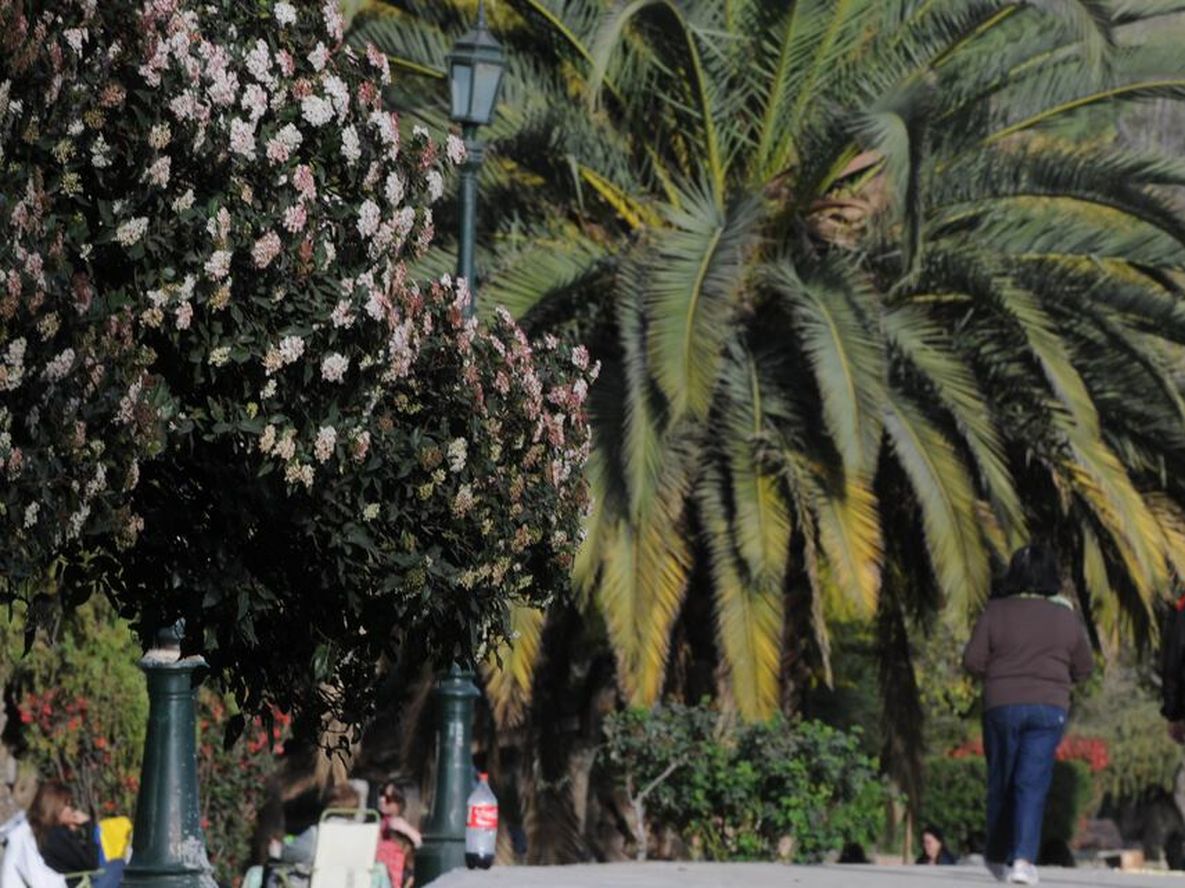Cómo estará el tiempo este domingo y el feriado del 25 de mayo.