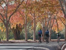 Otoño Mendoza. Otoño Mendoza.