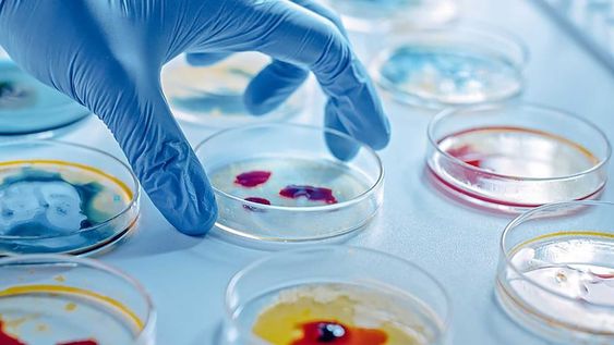 Tanto a nivel privado como público, existen en Latinoamérica numerosos bancos de almacenamiento que recolectan, procesan y criopreservan las células extraídas de la sangre y del tejido del cordón umbilical.