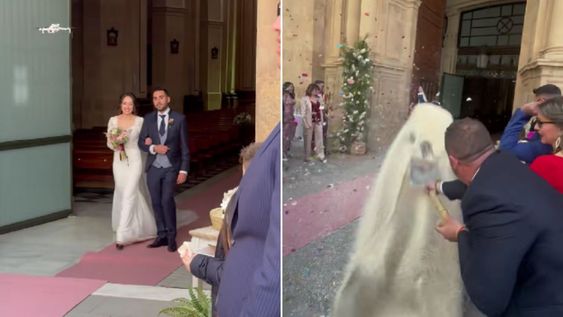 El video se volvió viral en TikTok y explotó la caja de comentarios.