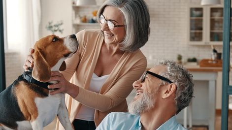 Los Andes | VNECY3UG35EMBHA3GTZR3QEAXI.jpg?quality=75&smart=true&auth=aa81b2a42e75deab72f277c71ae6e7a6ae74c0609475be2697be253f6543bfc7&width=980&height=640