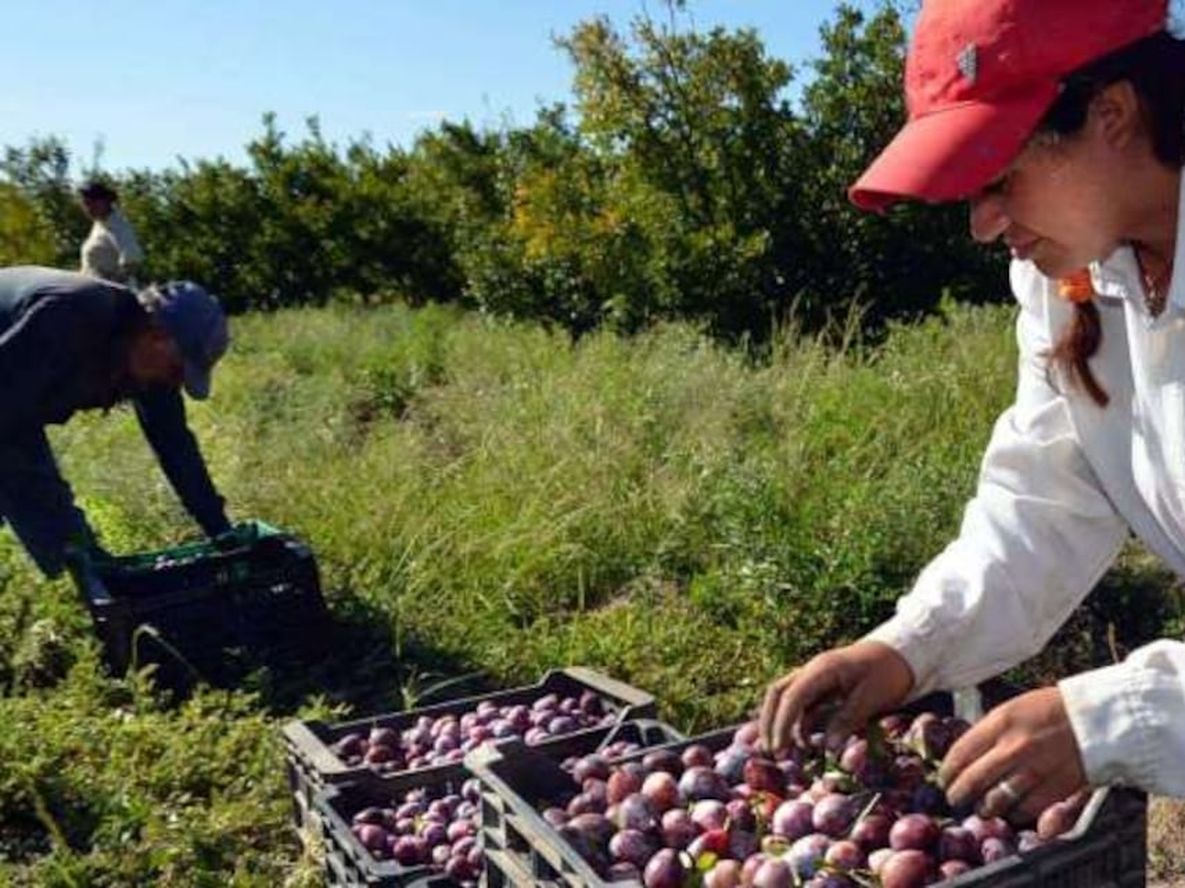 Desde el sector productivo piden que se revea la decisión de cerrar el IDR