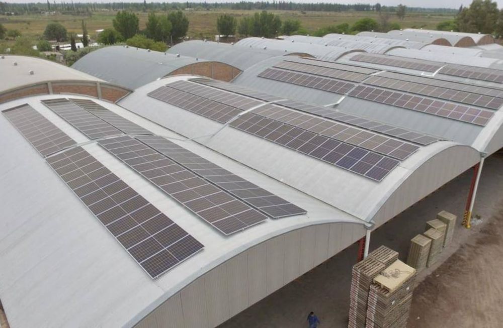 Desde estas empresas sostienen que una de las claves para poder sostenerse es invertir en una mejor prestación del servicio. El Frigorífico Friofrut sumó paneles fotovoltaicos el año pasado