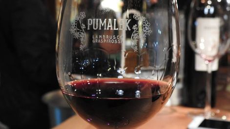 Las etiquetas de Pumalek dicen presente en la Feria de Vinos Guarda14