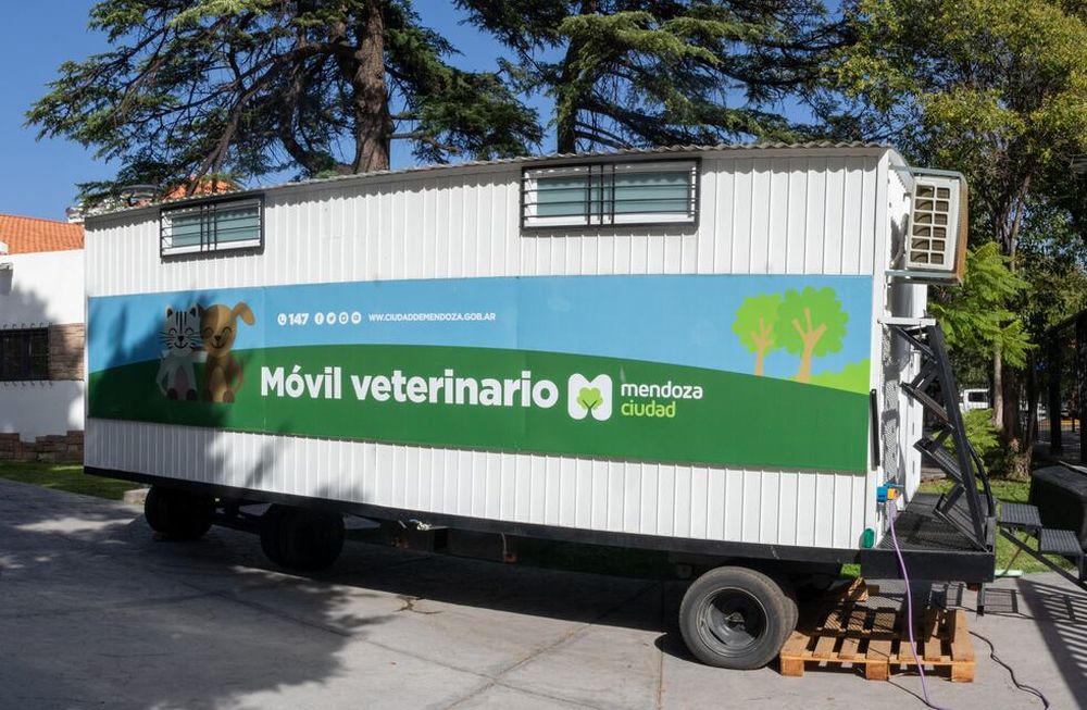 Ya se pueden sacar turnos por el 147 para castraciones y esterilizaciones gratuitas