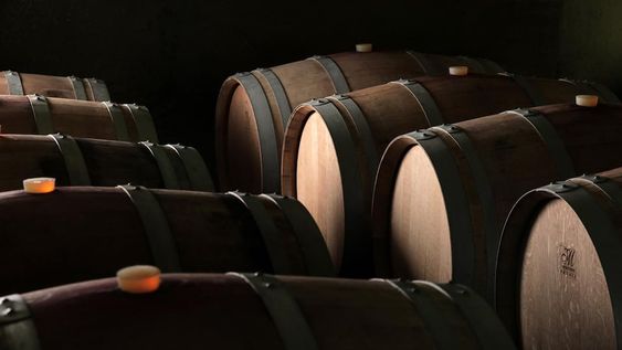 Conocé las novedades que nos presenta la cosecha 2021 de Terracota Wineland