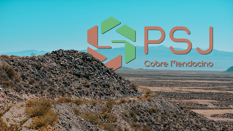PSJ Cobre Mendocino