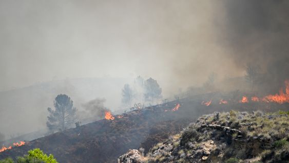 Tragedia en España: un devastador incendio forestal dejó al menos 19 muertos en Andalucía