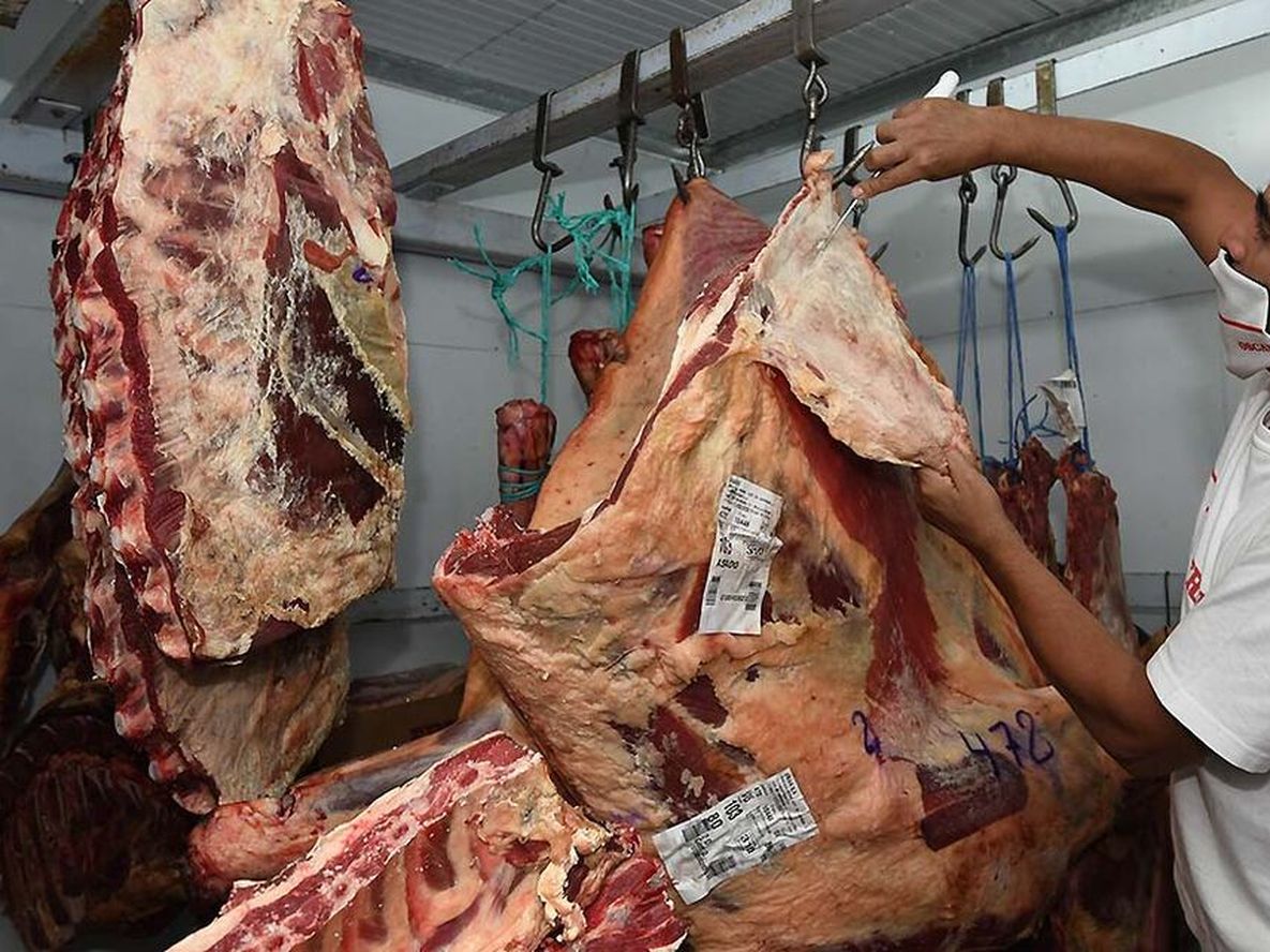El Gobierno Nacional busca contener los aumentos en la carne vacuna, y para ello decidieron suspender las exportaciones por 30 días. Foto: José Gutierrez / Los Andes