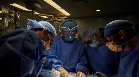 La operación fue llevada a cabo en el hospital NYU Langone de Nueva York el 25 de septiembre - AP