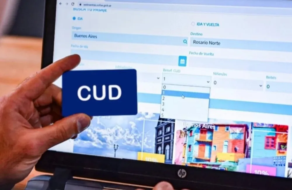 En el ámbito nacional, el Registro Nacional de Personas con Discapacidad indica que 1.594.888 personas poseen el Certificado Único de Discapacidad (CUD), lo que representa el 3,46 % de la población total.