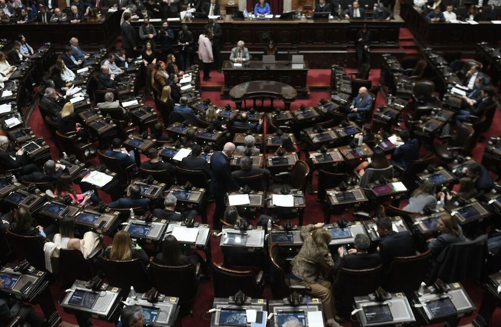 Sesión especial de la Cámara de Diputados durante este sábado. / Foto: Federico López Claro
