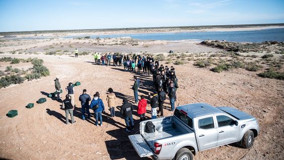 Regresaron a su hábitat a 21 aves que habían sido rescatadas en cautiverio y luego de rehabilitarlas. Foto: Prensa Ministerio de Ambiente y Energía.