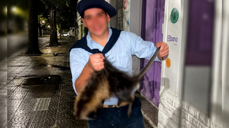 Butal caso de maltrato animal en Bahía Blanca: dos jóvenes golpearon a una nutria hasta matarla