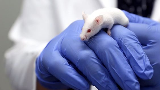 El estudio publicado en la revista Science destaca las posibles aplicaciones en la práctica clínica, como la mejora en la extracción de sangre y la detección precoz del cáncer.