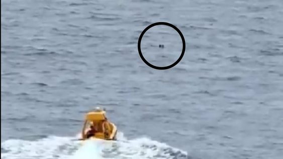 Casi una tragedia en un crucero familiar de Disney.