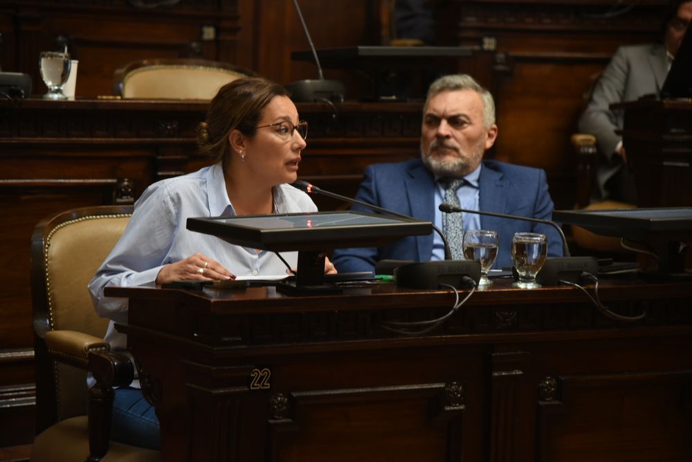 La presidenta del bloque PJ en el Senado, Adriana Cano, y el senador kirchnerista Félix González. 