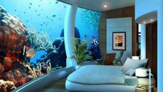 Disfrutá del mar en tu casa con un acuario