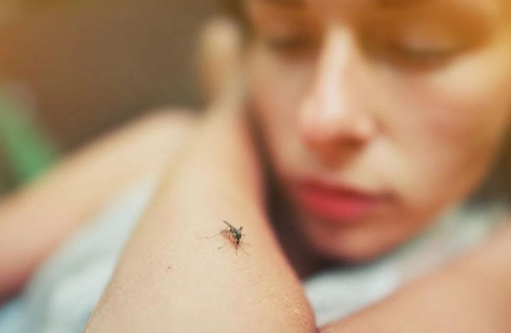 Los casos de dengue aumentaron 300% en tres semanas en Mendoza pero se observa una tendencia a la baja. El Ministerio de Salud determinó que hay 5 departamentos en condición de brote aunque no en su totalidad. De ellos, 4 pertenecen al Área Metropolitana de Mendoza. Además, se confirmaron las dos primeras muertes por la enfermedad en la provincia.