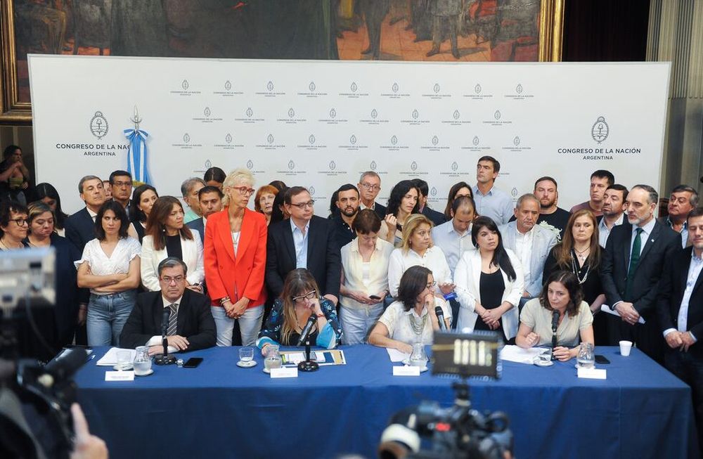 Los bloques legislativos del Frente de Todos anunciaron el pedido de audiencia con la Corte en conferencia de prensa / Foto: Federico López Claro