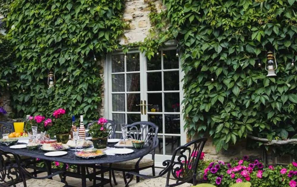 Su fácil adaptación en distintos espacios del jardín despierta interés pero también preocupación entre jardineros.