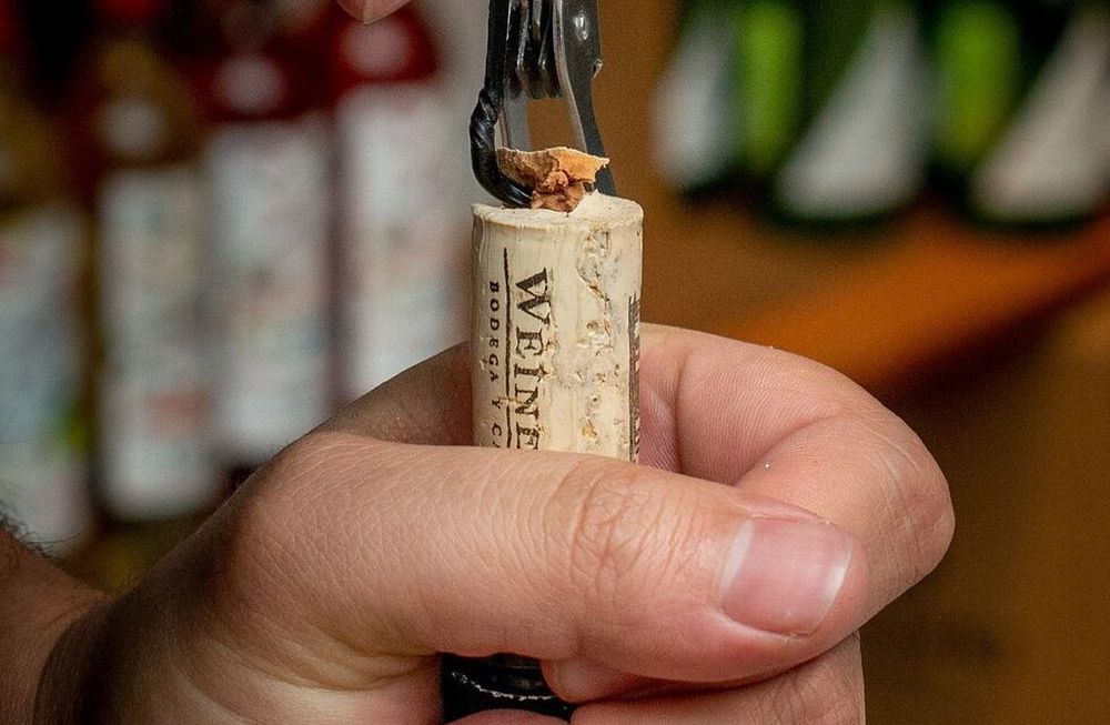 Bodegas y Cavas de Weinert, ícono de elegancia y estilo en la industria de vino