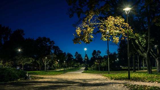 La luz artificial modifica el ritmo natural de crecimiento de las plantas en entornos urbanos