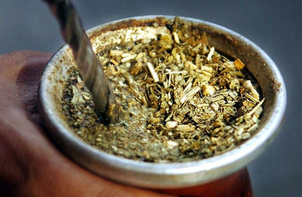 Spotreba Yerba Mate sa zrútila.