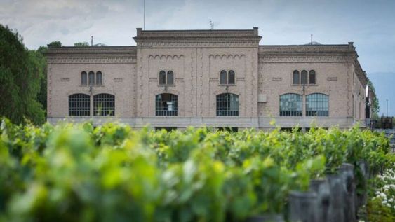 Trapiche y sus Malbecs son uno de los íconos de la vitivinicultura argentina. - Foto: Ignacio Blanco / Los Andes