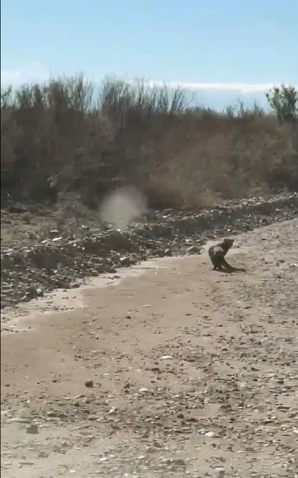 Fotos y video: asombrosas filmaciones en Mendoza del 