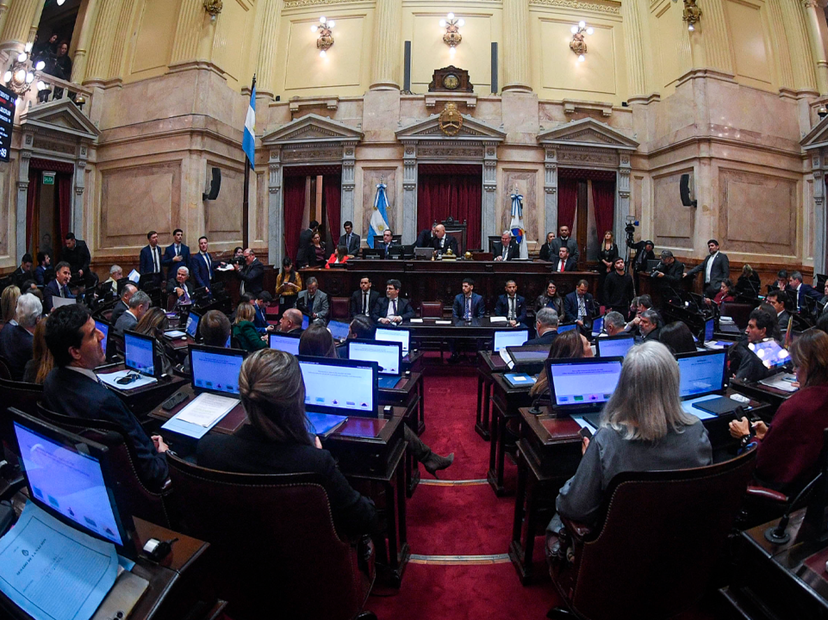 El Senado aprobó en general una acotada versión del proyecto de Propiedad Privada.