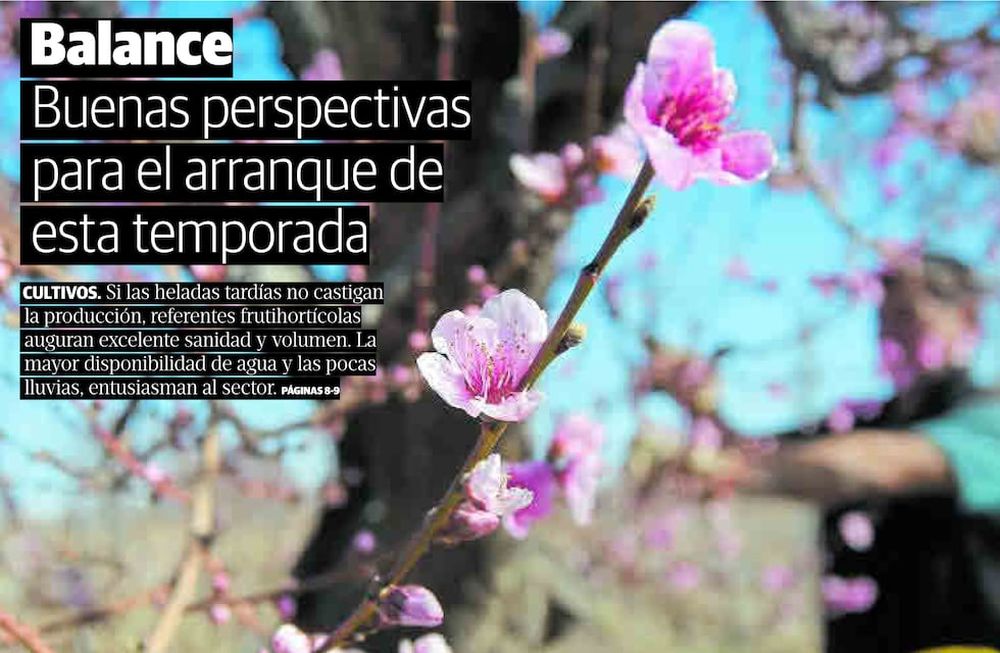 Este sábado, buscá con Los Andes el especial del Suplemento Fincas