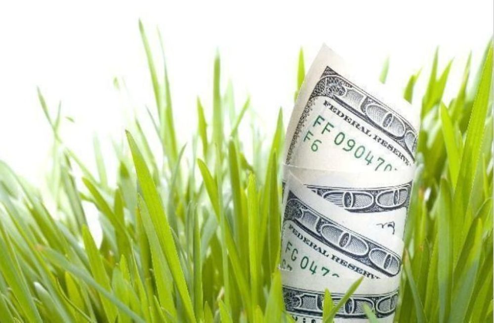 El Directorio del Banco Central de la República Argentina (BCRA) mejoró las condiciones de constitución de los denominados Plazos Fijos Chacareros, removiendo límites para la renovación.